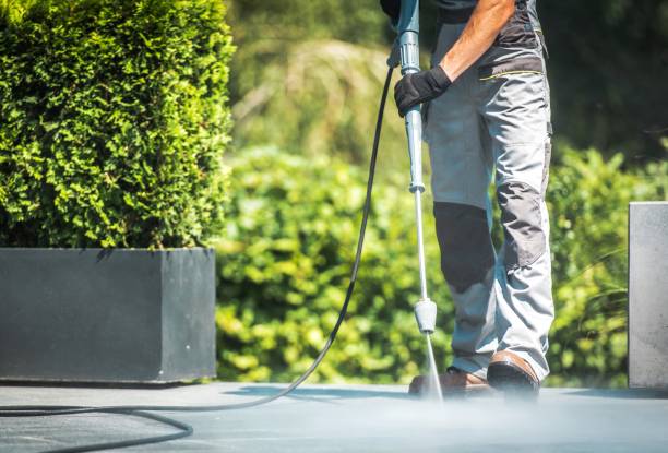 Best Paint Preparation  in Bridgeport, WA