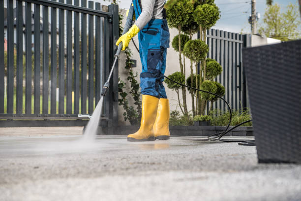 Best Gutter Cleaning  in Bridgeport, WA