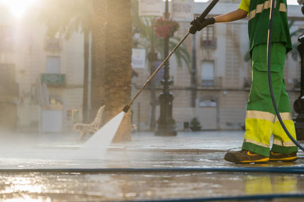 Best Soft Washing  in Bridgeport, WA